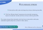 Pets reduce stress
